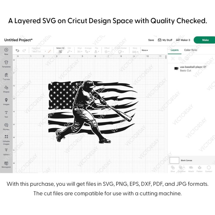 USA Baseball Player SVG 23374
