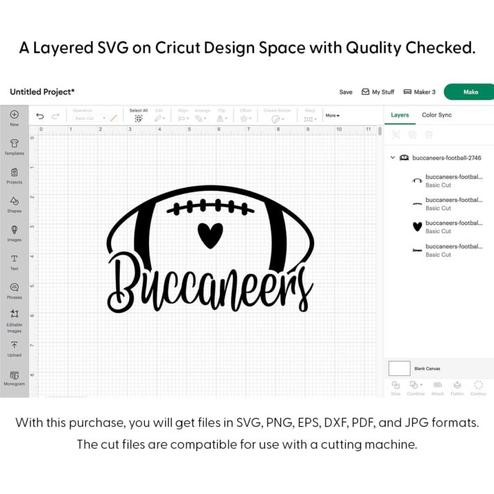 Buccaneers Football SVG 2746