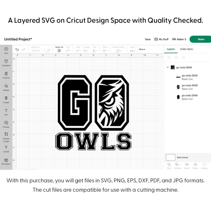Go Owls SVG 2849