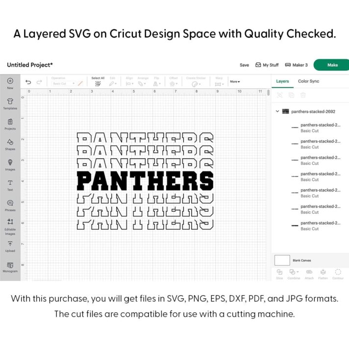Panthers Stacked SVG 2692