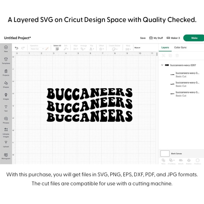 Buccaneers Wavy SVG 3267