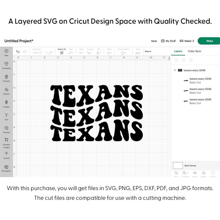 Texans Wavy SVG 3346