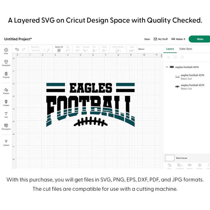 Eagles Football SVG 4274