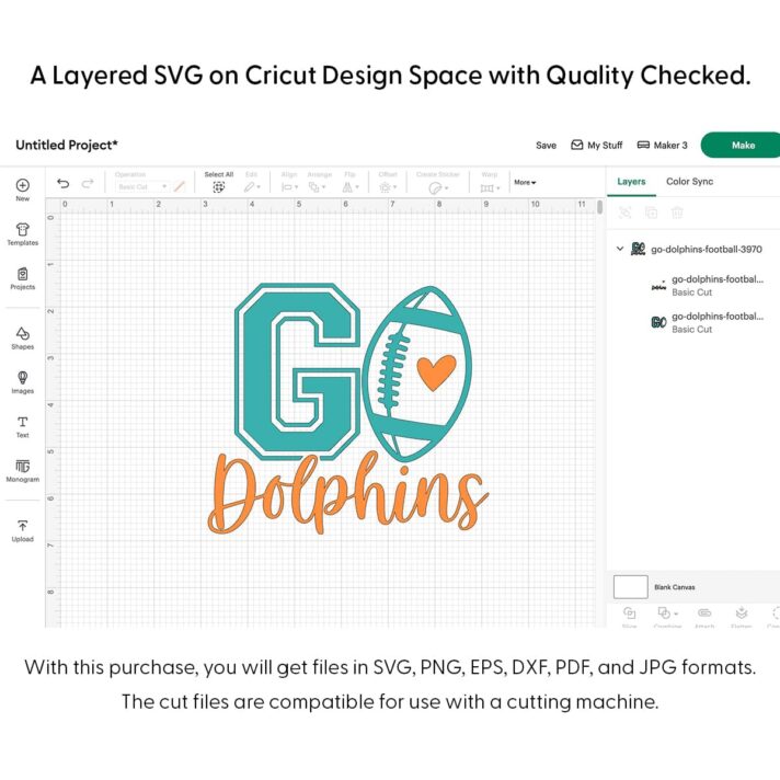 Go Dolphins Football SVG 3970