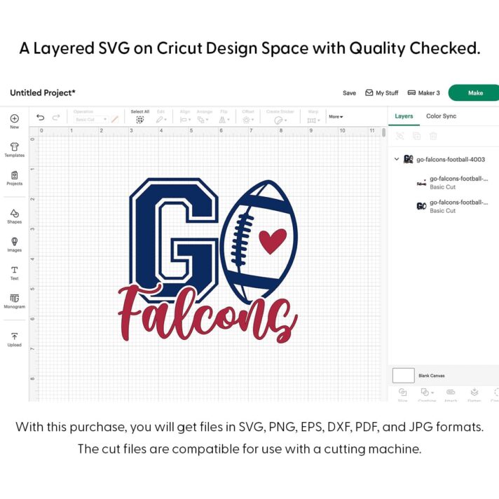 Go Falcons Football SVG 4003