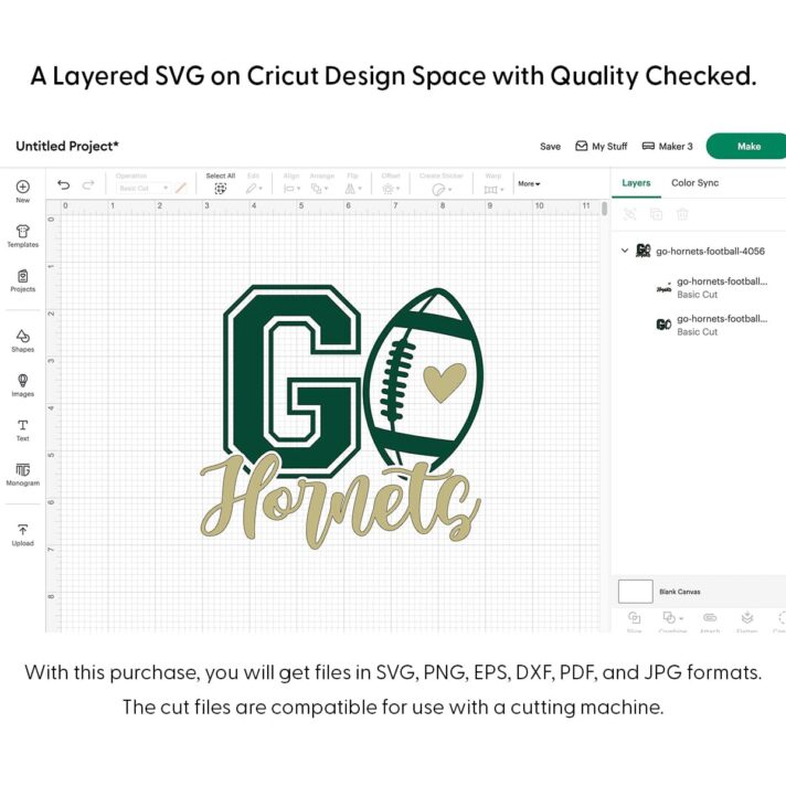Go Hornets Football SVG 4056
