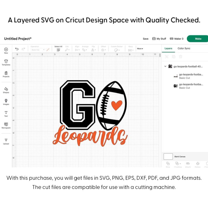 Go Leopards Football SVG 4064