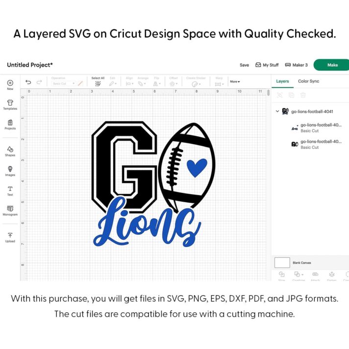 Go Lions Football SVG 4041