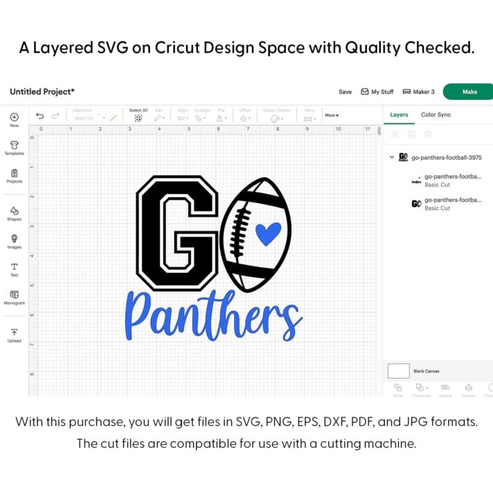 Go Panthers Football SVG 3975