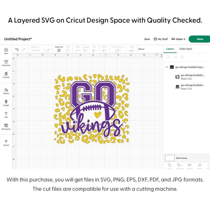 Go Vikings Football Leopard SVG 4298