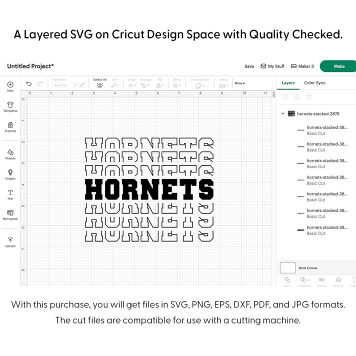 Hornets Stacked SVG 3878