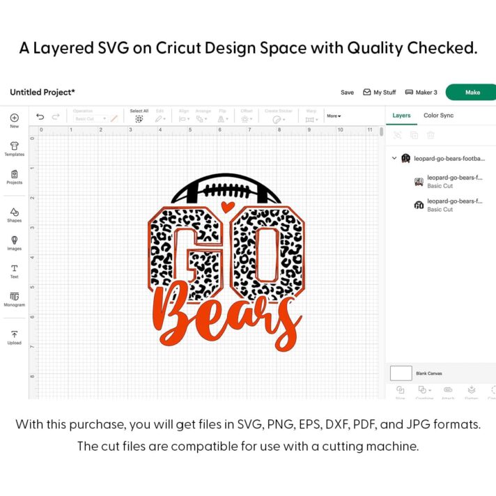 Leopard Go Bears Football SVG 4212