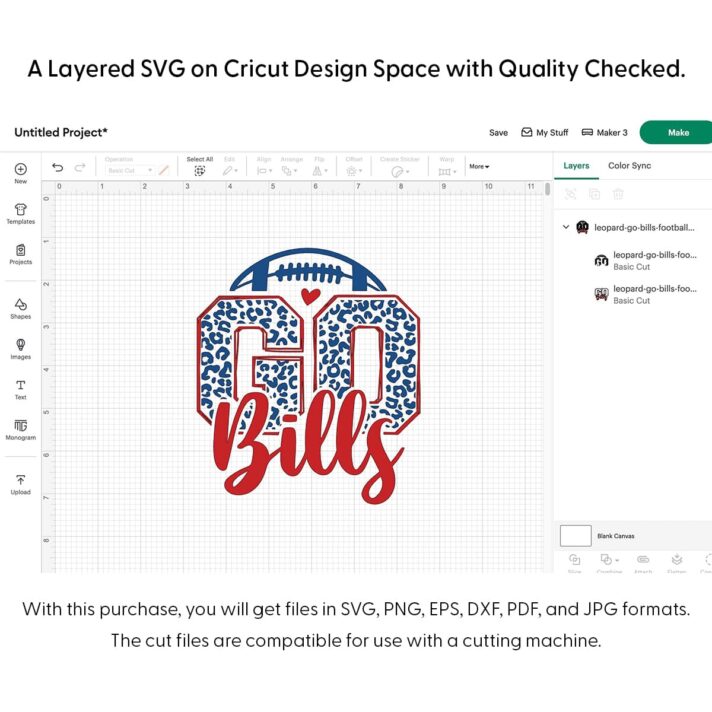 Leopard Go Bills Football SVG 4128