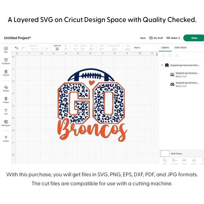 Leopard Go Broncos Football SVG 4239