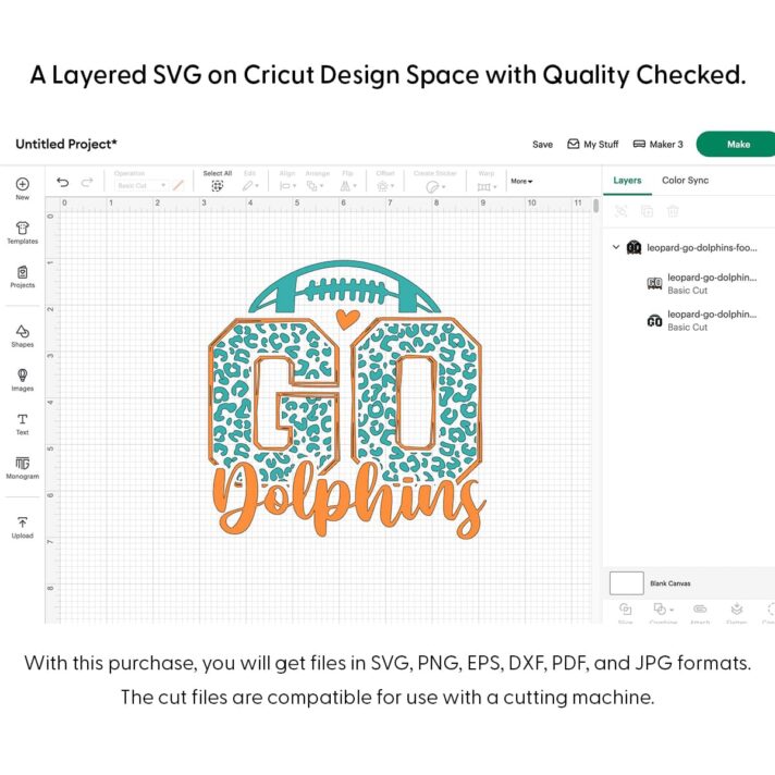 Leopard Go Dolphins Football SVG 4218