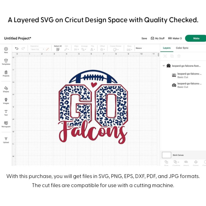 Leopard Go Falcons Football SVG 4150