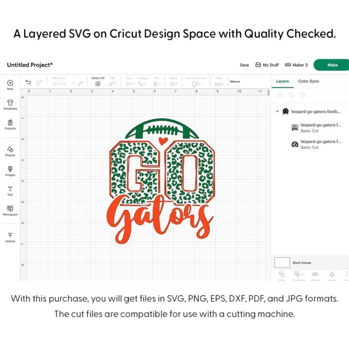 Leopard Go Gators Football SVG 4168