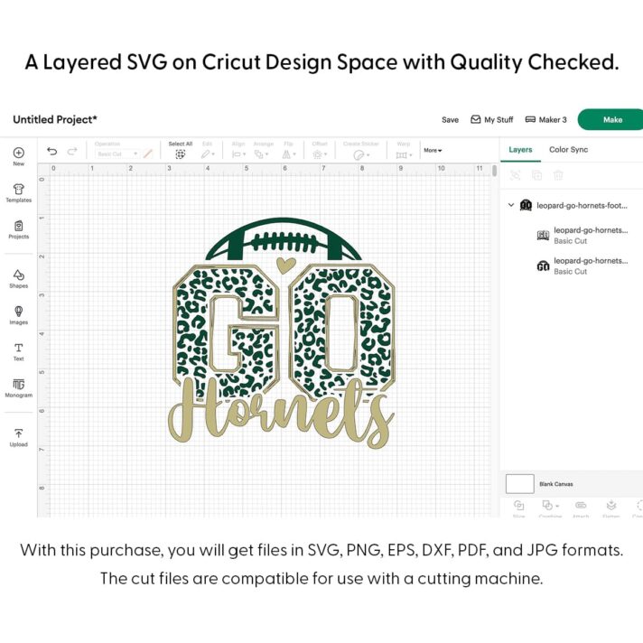 Leopard Go Hornets Football SVG 4153