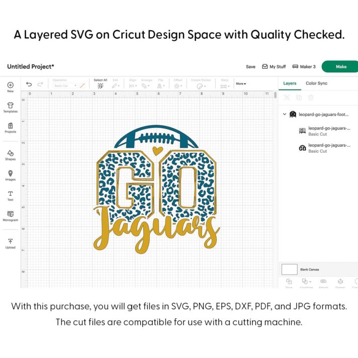 Leopard Go Jaguars Football SVG 4131