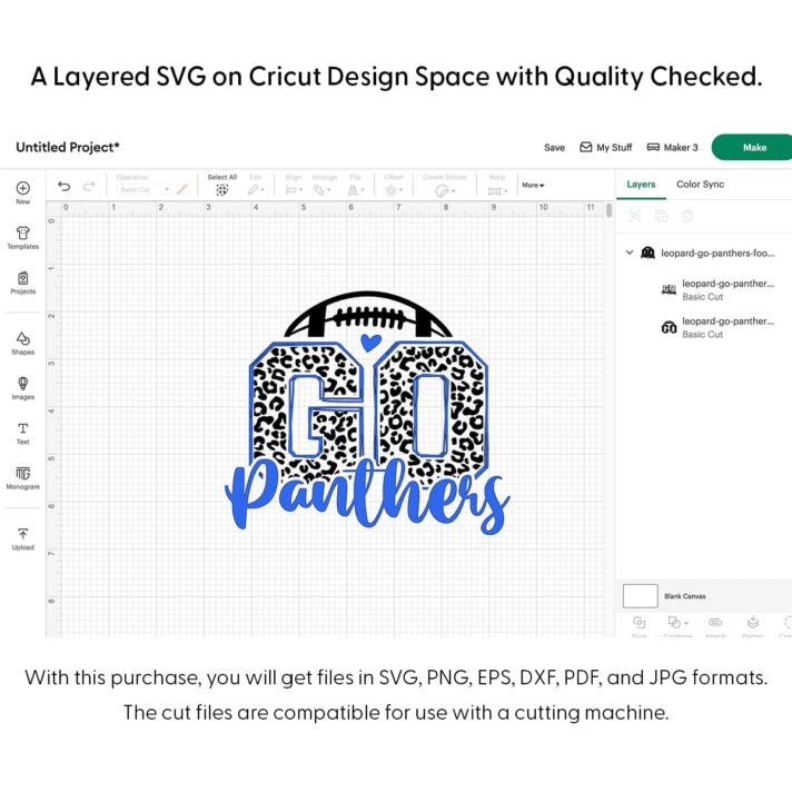 Leopard Go Panthers Football SVG 4134