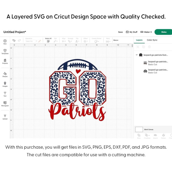 Leopard Go Patriots Football SVG 4215