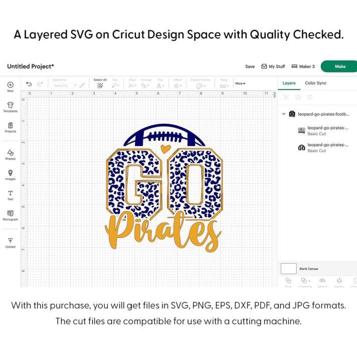 Leopard Go Pirates Football SVG 4198