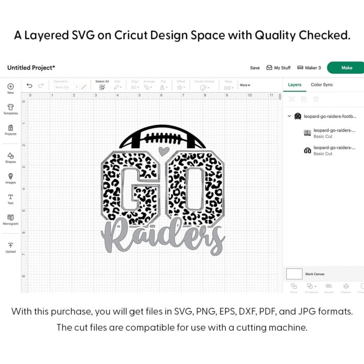 Leopard Go Raiders Football SVG 4205