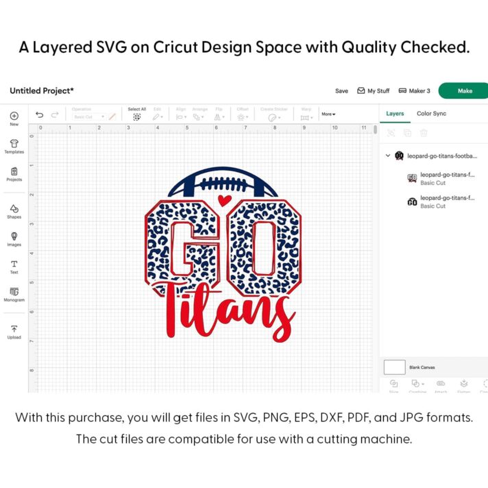 Leopard Go Titans Football SVG 4221