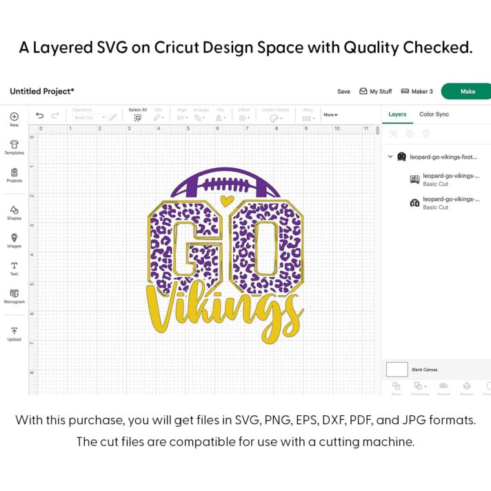 Leopard Go Vikings Football SVG 4201