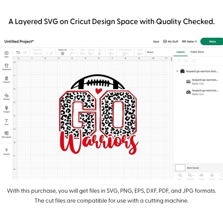 Leopard Go Warriors Football SVG 4189