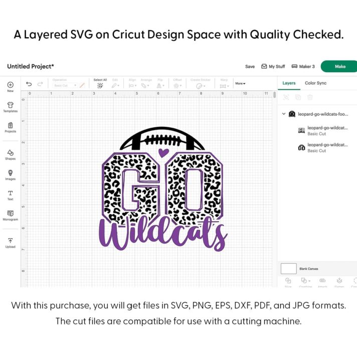 Leopard Go Wildcats Football SVG 4141