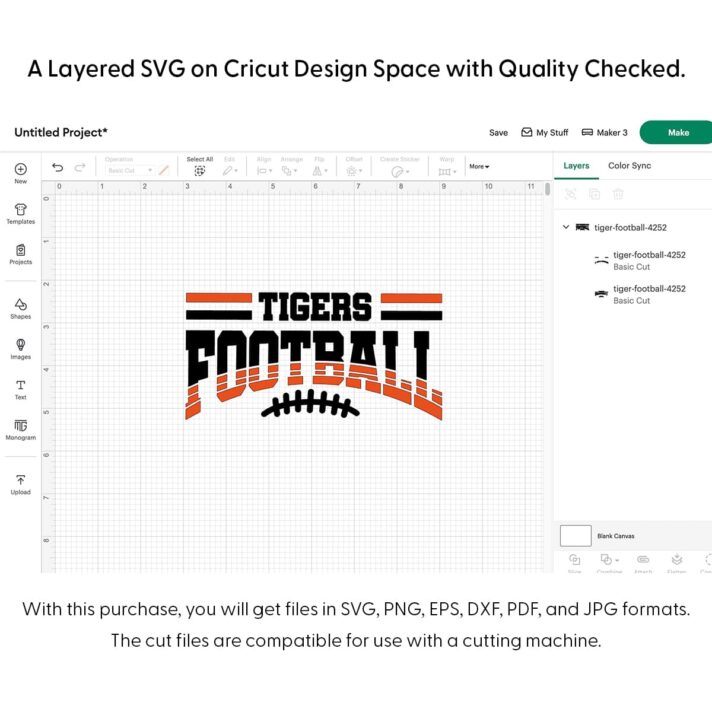 Tiger Football SVG 4252