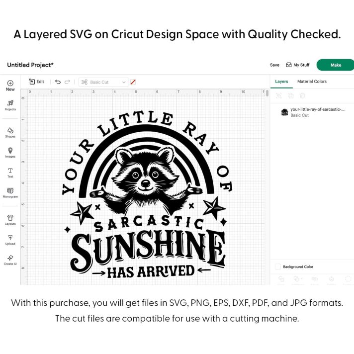 Your Little Ray Of Sarcastic Sunshine Svg Png 7928 Cricut